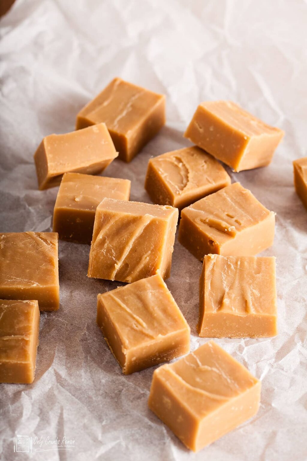 Traditional Vanilla Fudge Only Crumbs Remain