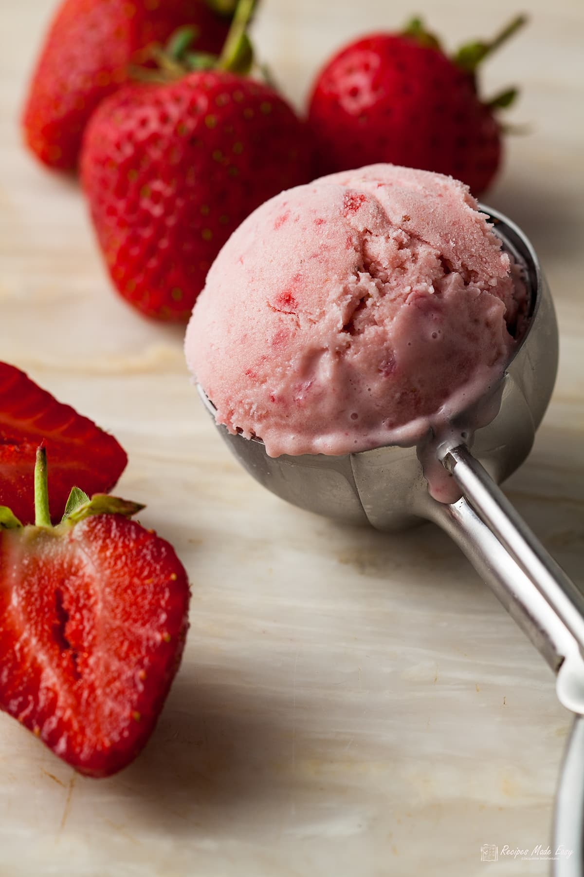 homemade strawberry ice cream in an ice cream scoop surrounded with strawberries. 