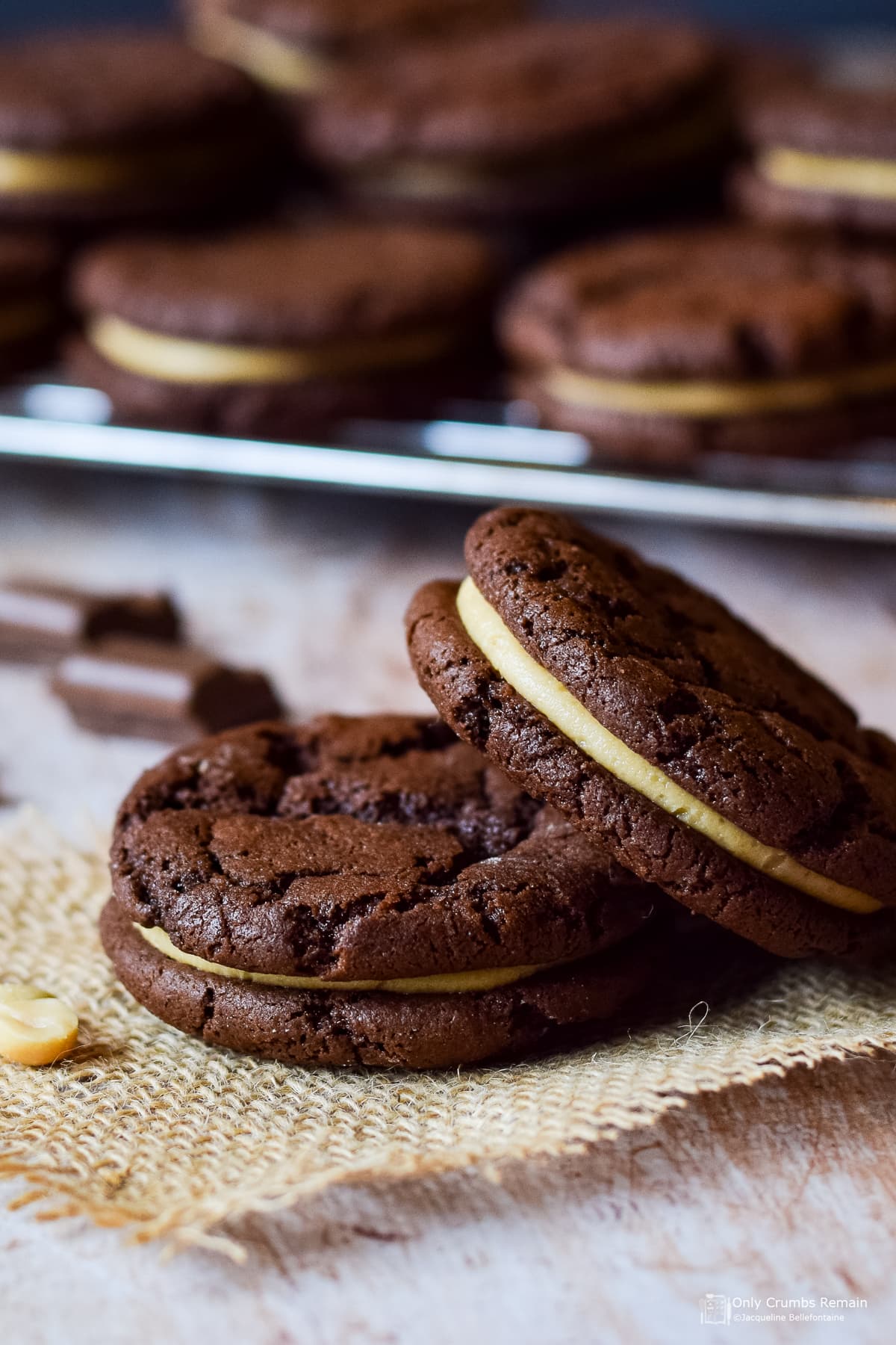 two chocolate and peanut butter cookies in front of a cooling rack with more cookies.