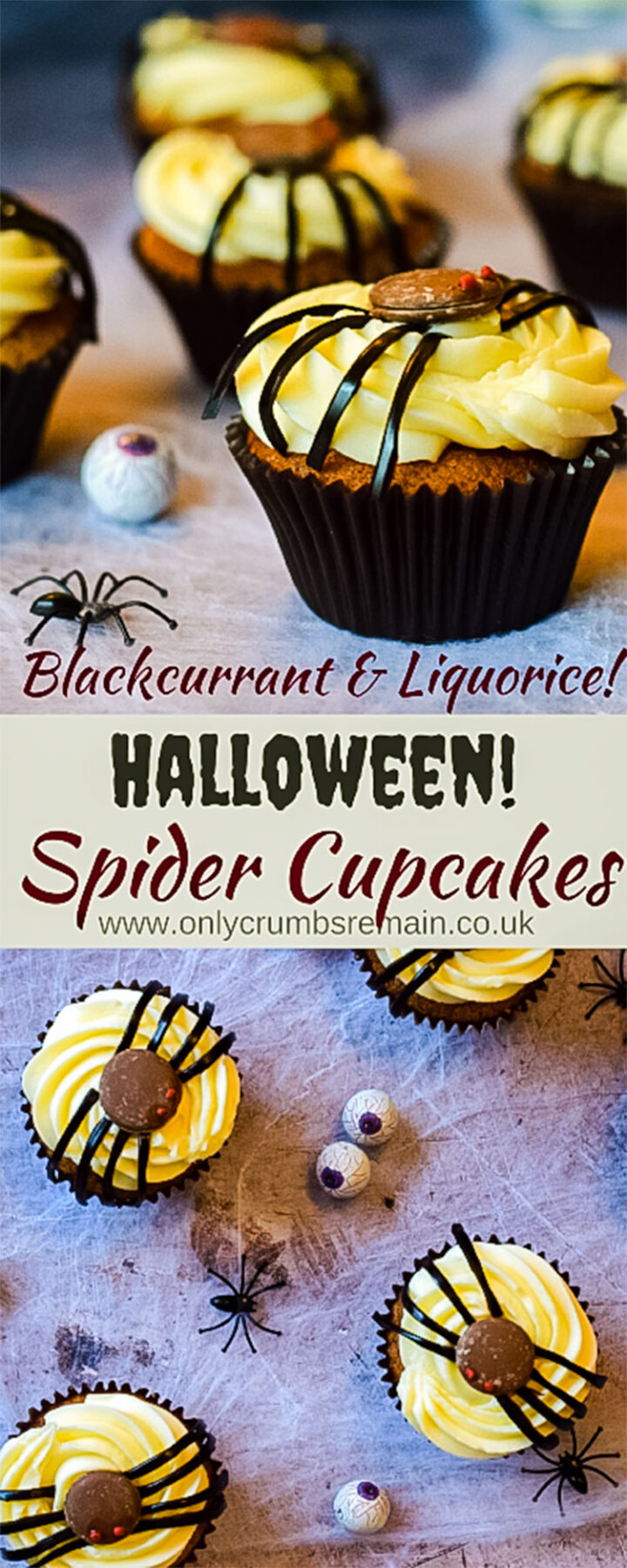 blackcurrant and liquorice spider cupcakes.