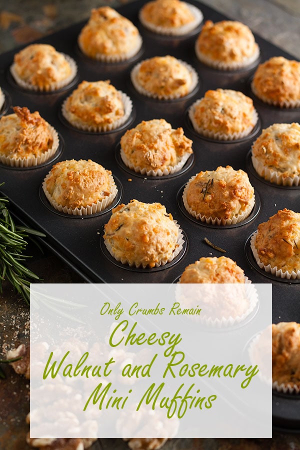 cheesey walnuts and rosemary muffin in muffin tin.