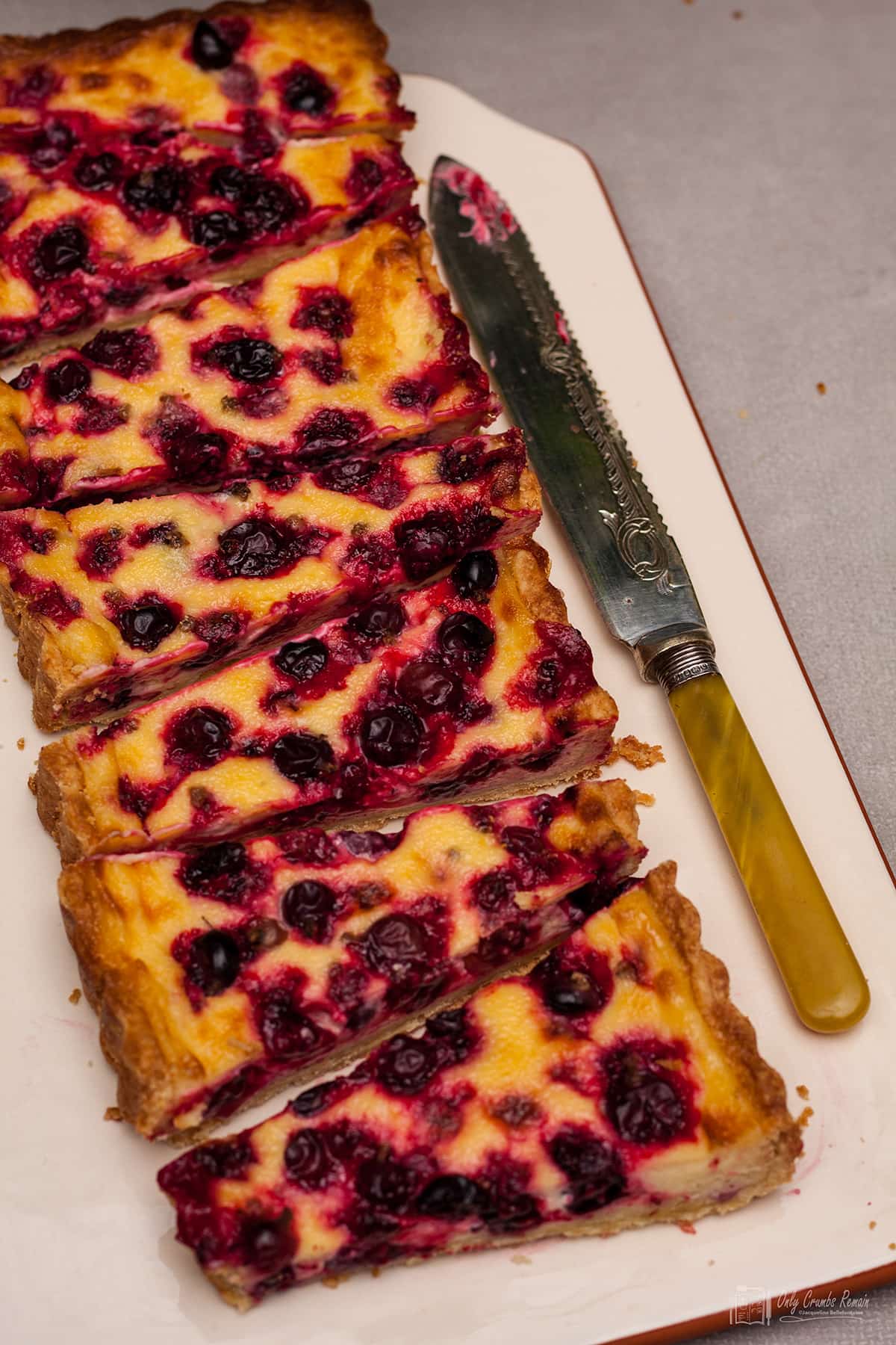 blackcurrant and vanilla tart cut into slices.