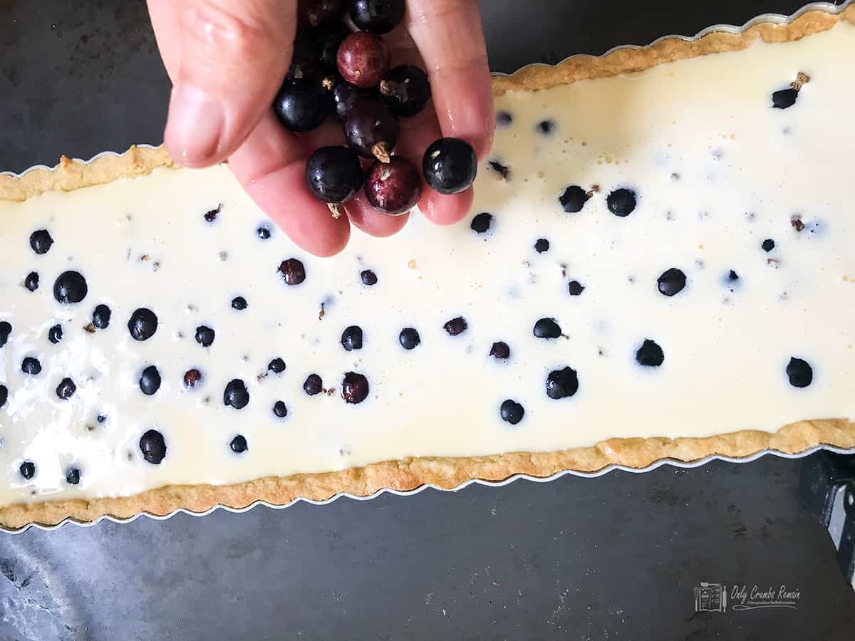 adding blackcurrants to tart.