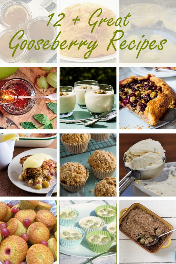 coolage of 12 gooseberry recipes