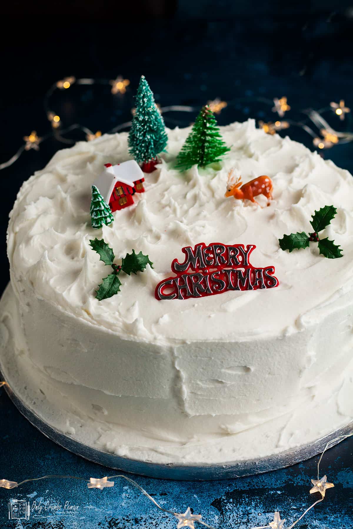 https://onlycrumbsremain.com/wp-content/uploads/2019/11/easy-retro-Christmas-cake-3.jpg