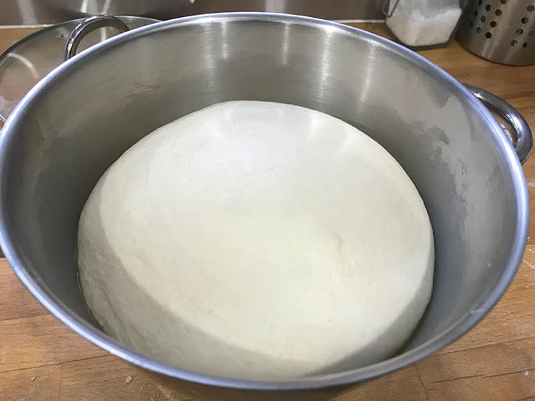 risen bread dough in bowl.