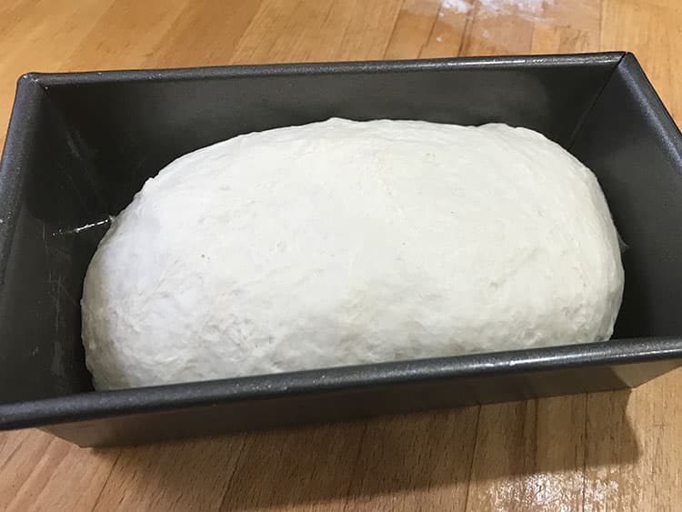 shaped and unrisen dough in a loaf tin.