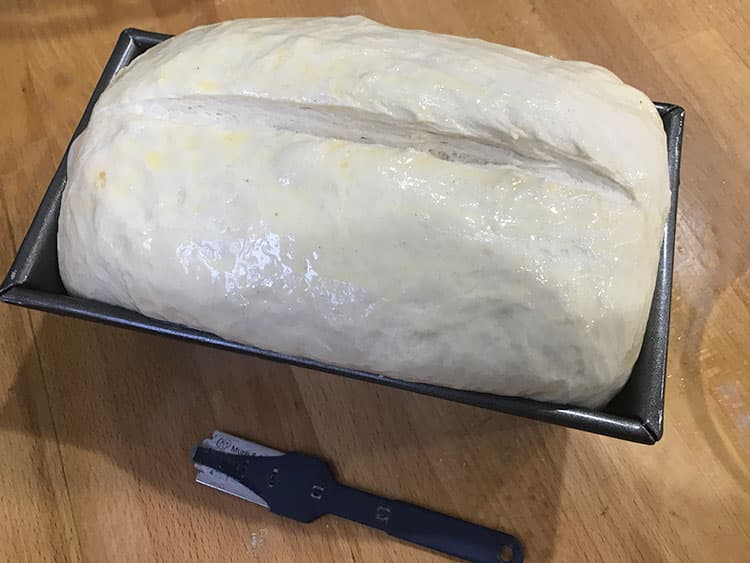 risen unbaked loaf in tin.
