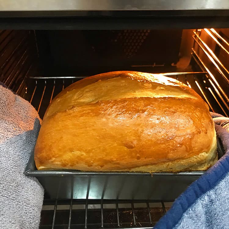 Oven Door  The Fresh Loaf