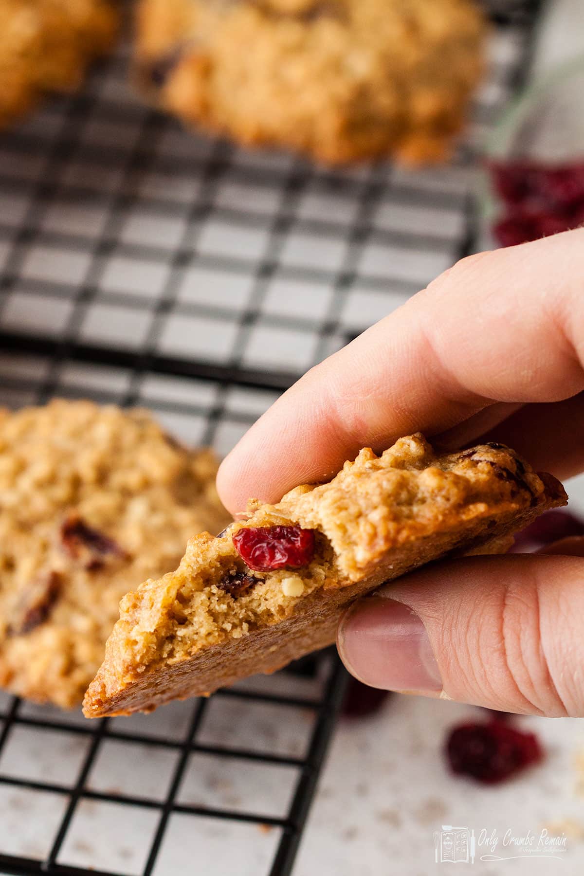 cranberry and oat cookie with a bite taken out  being held.