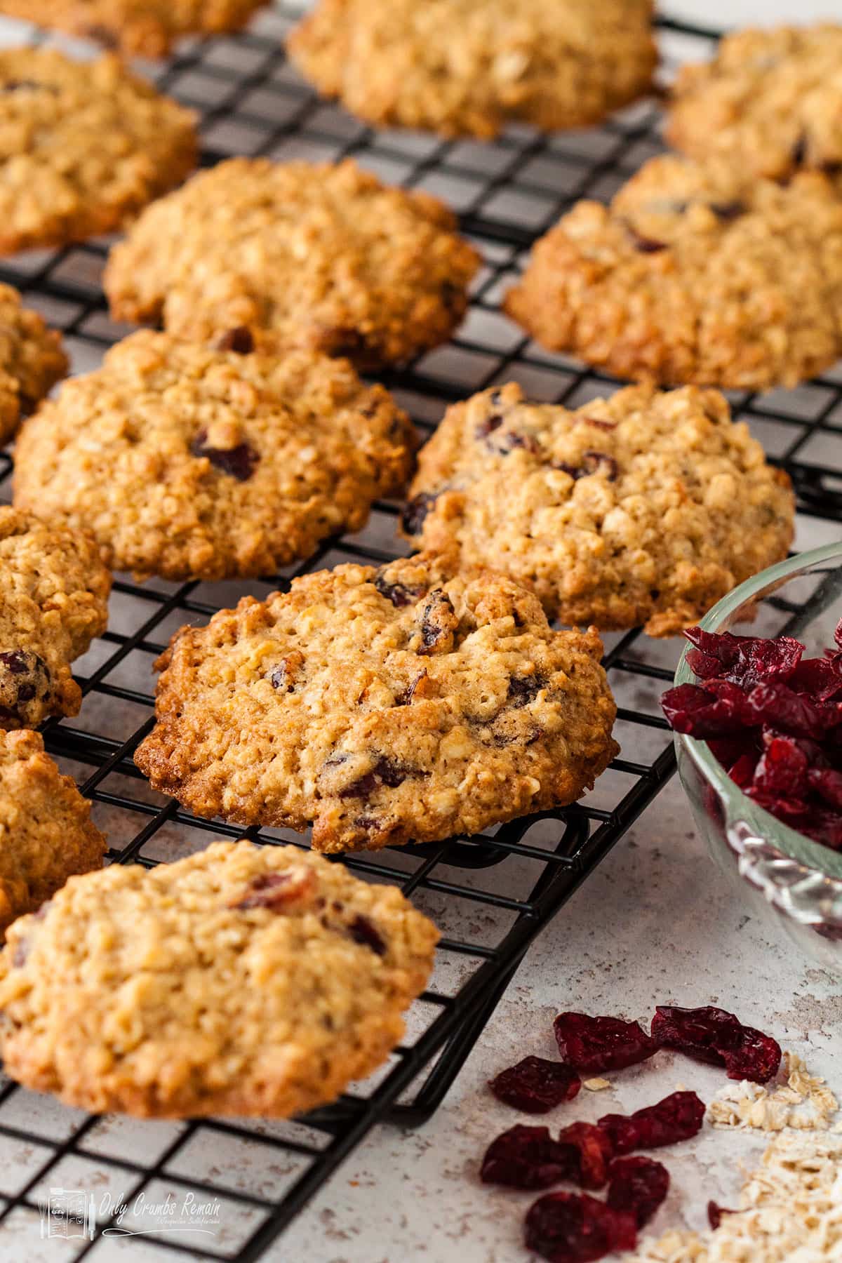 cranberry and oat cookies on a cooling rack with oats and cranberries on the side.