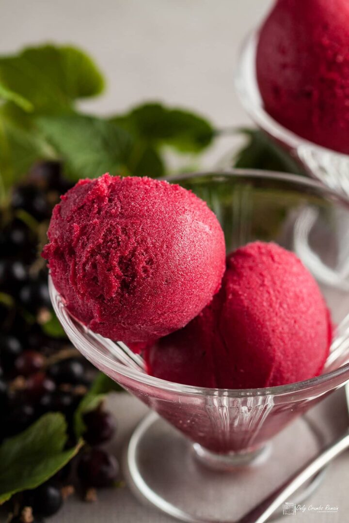 Blackcurrant Sorbet Only Crumbs Remain