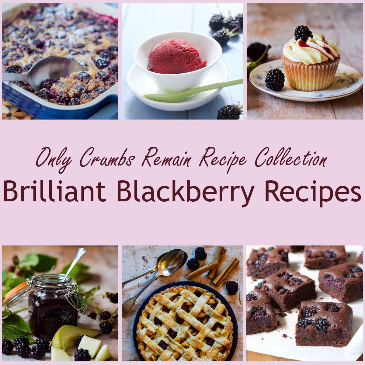 collage of 6 blackberry recipes for recipe collection.