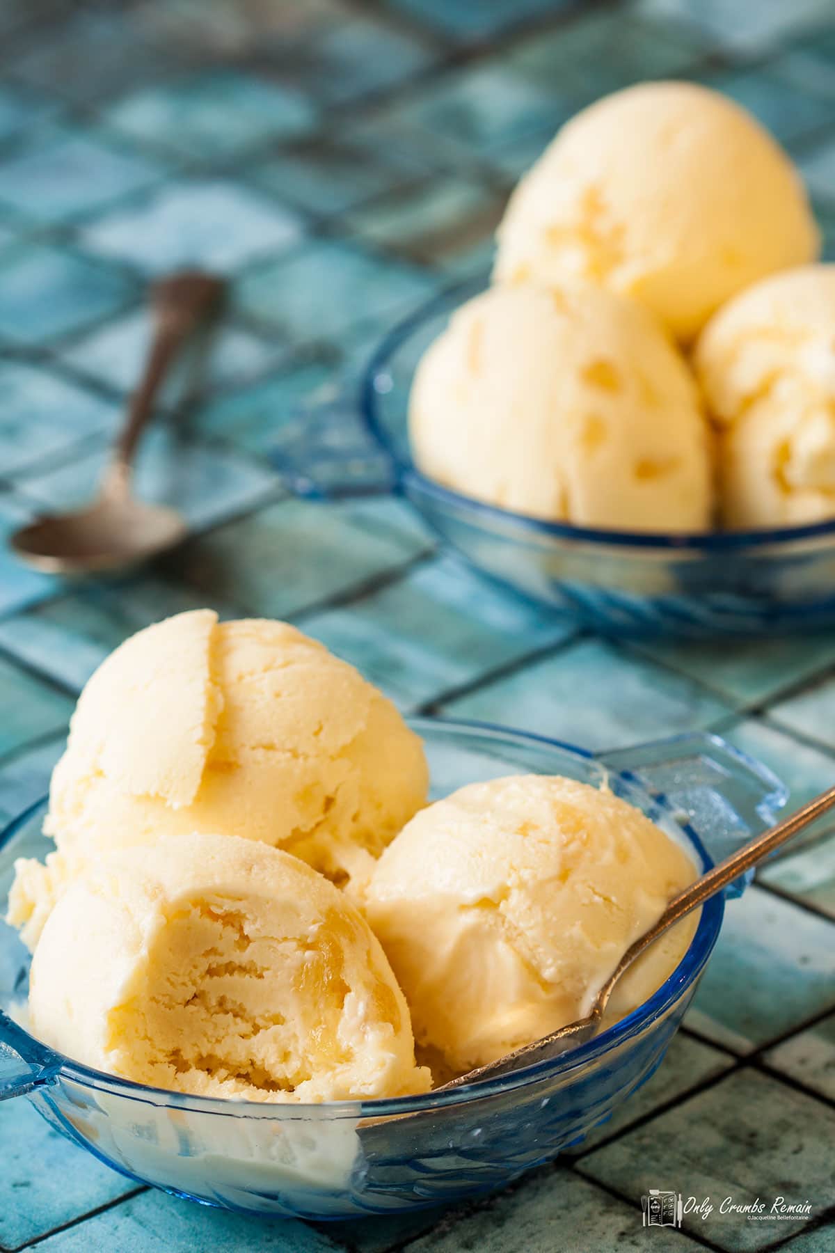 Stem ginger ice cream Only Crumbs Remain