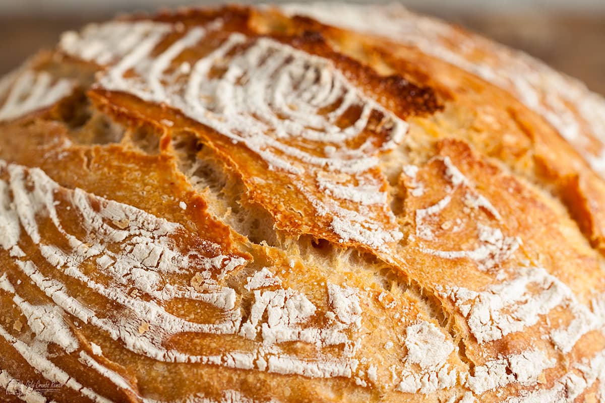 closeup of sourdough loaf showing flour rings and slahes in the crust.