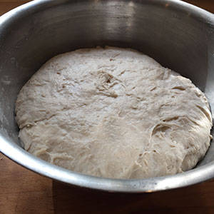 risen dough