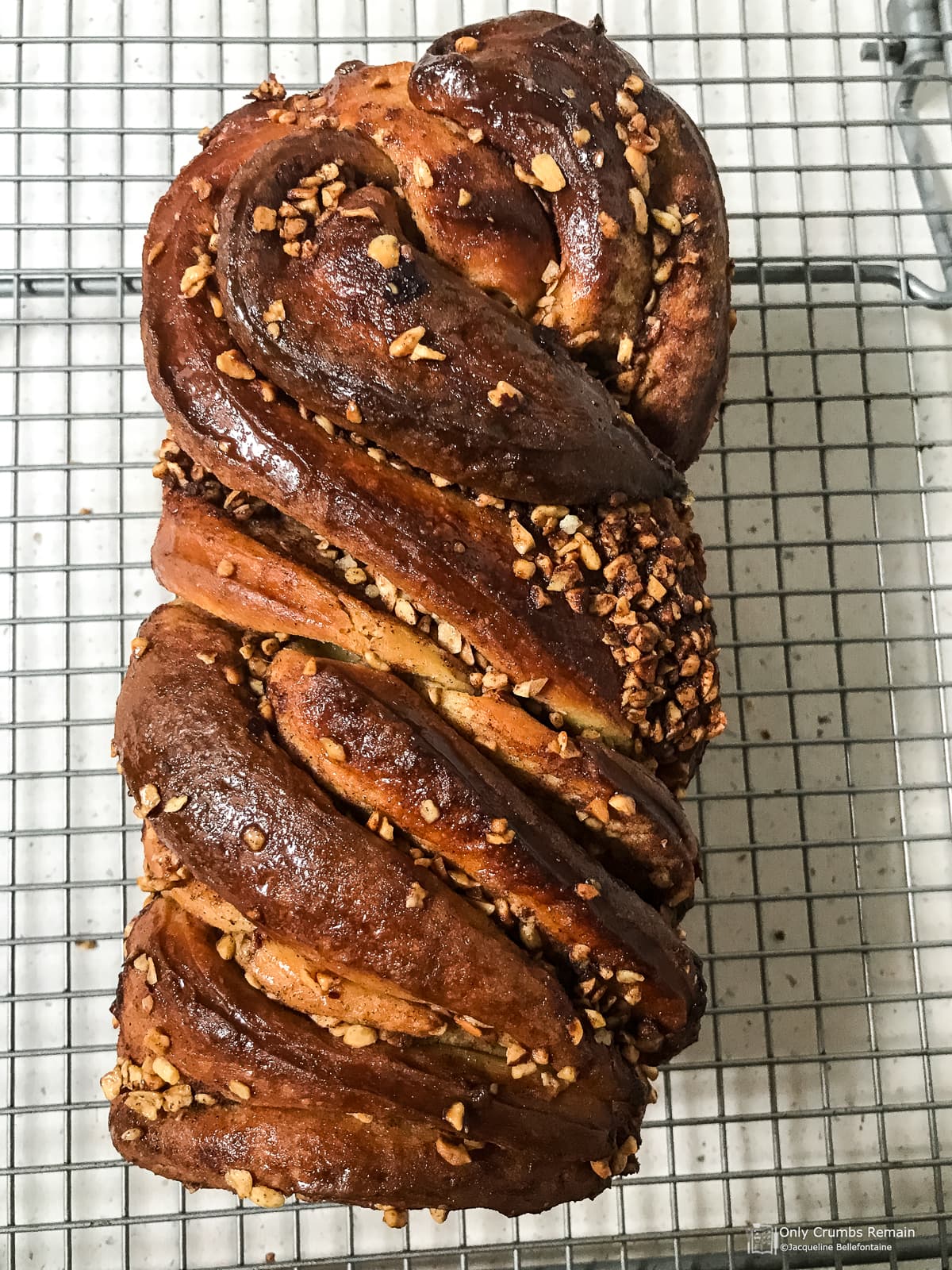 whole cinnamon and hazelnut babka on cooling rack.